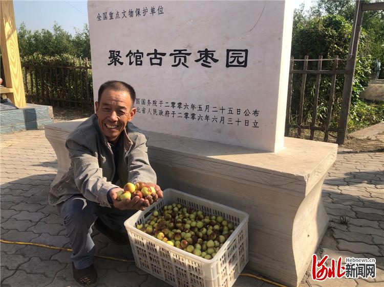 推動(dòng)鄉(xiāng)村振興 河北黃驊冬棗開(kāi)園采摘活動(dòng)開(kāi)幕