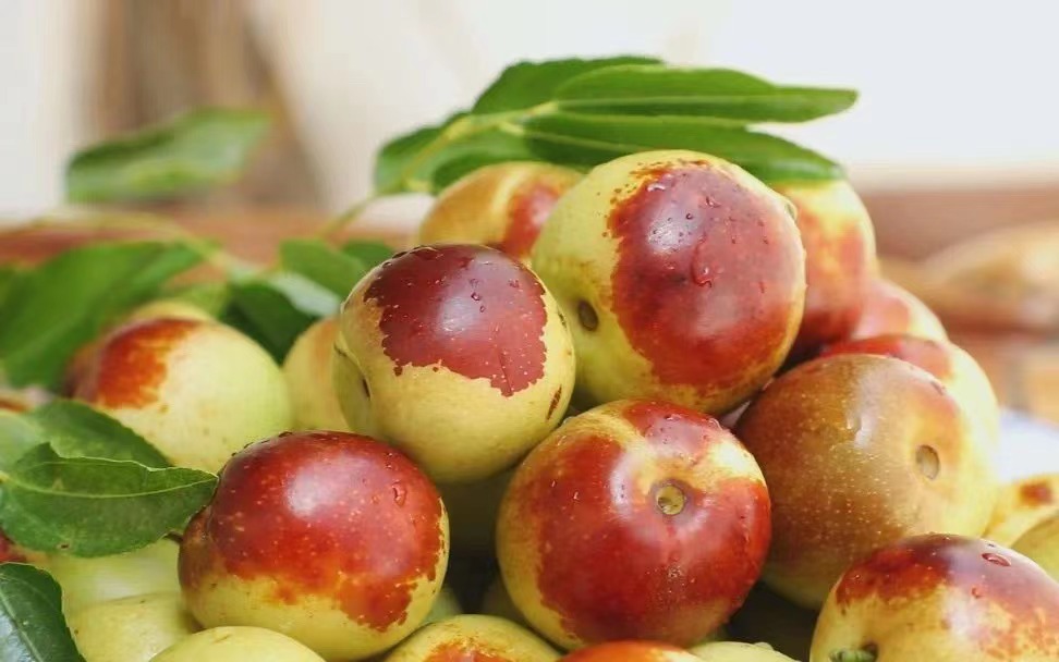 明明是&ldquo;冬棗&rdquo;,為什么現(xiàn)在是最佳賞味期?