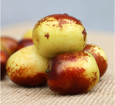 冬棗產地與品質解析 陜西富平與河北黃驊的比較